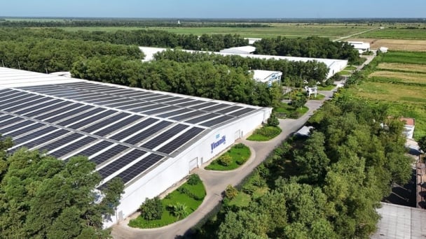 Integrating production, energy, and technology for green transition